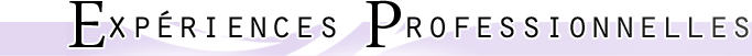 Expériences professionnelles